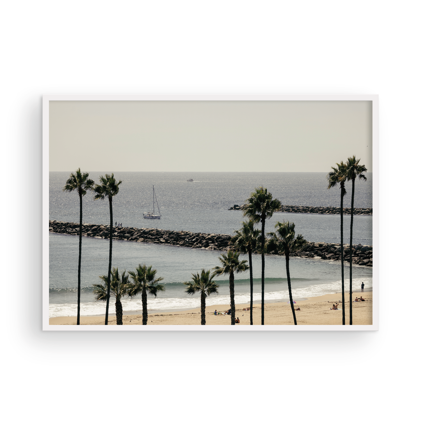 Framed Corona del Mar fine art print by Sharon Williams