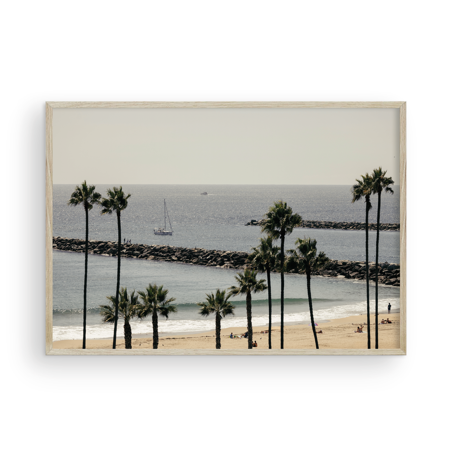 Framed Corona del Mar fine art print by Sharon Williams