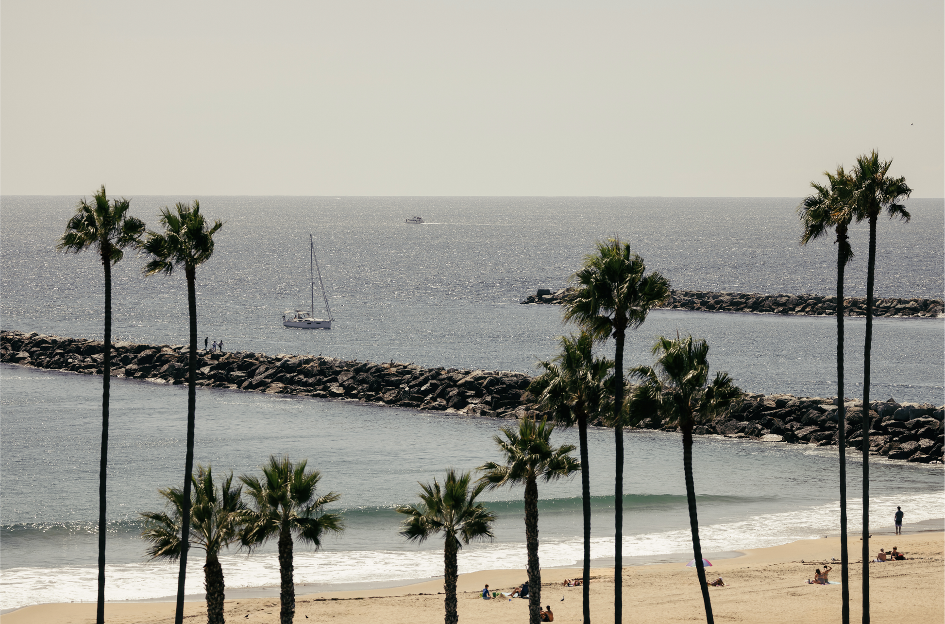 Framed Corona del Mar fine art print by Sharon Williams