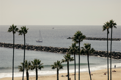 Framed Corona del Mar fine art print by Sharon Williams