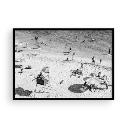 Diver's Cove, Three: Monochrome
