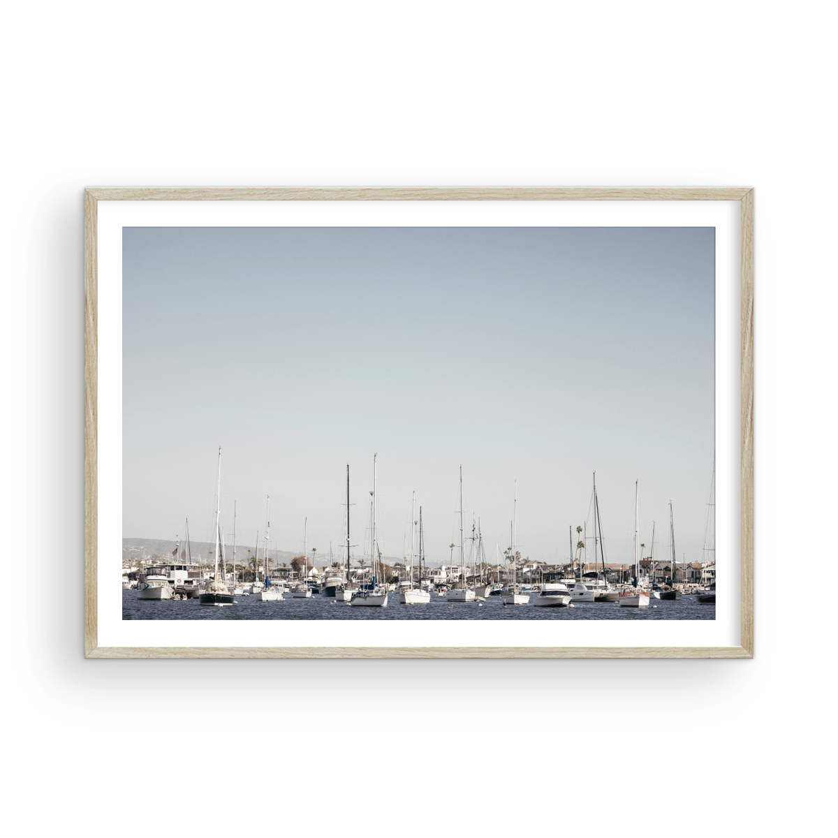 Newport Harbor, One