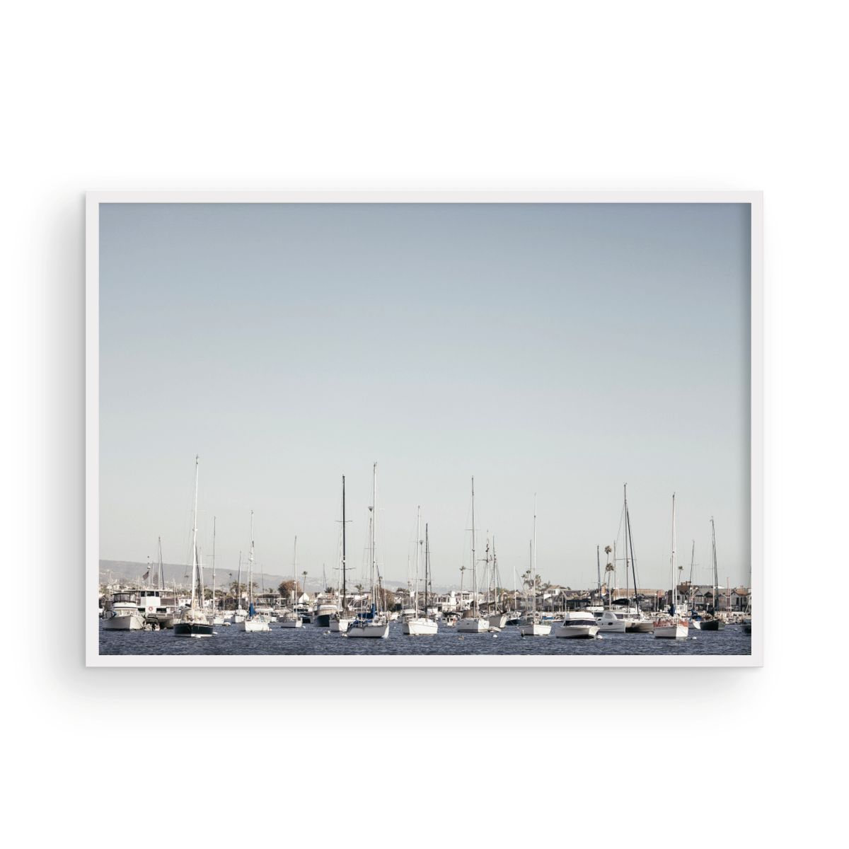 Newport Harbor, One