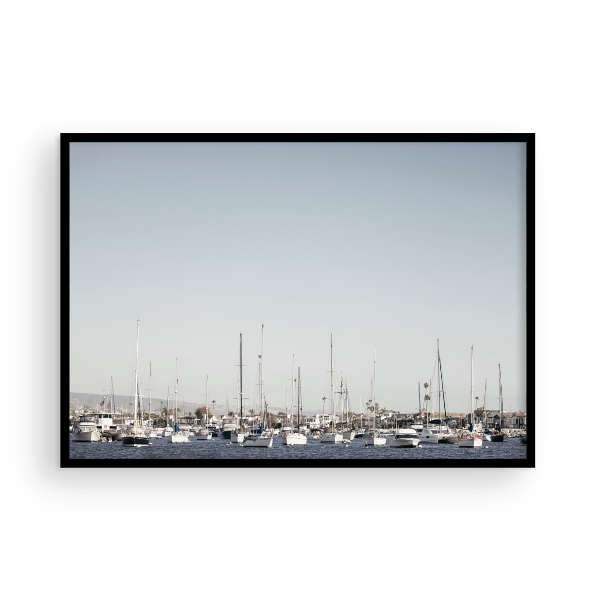 Newport Harbor, One