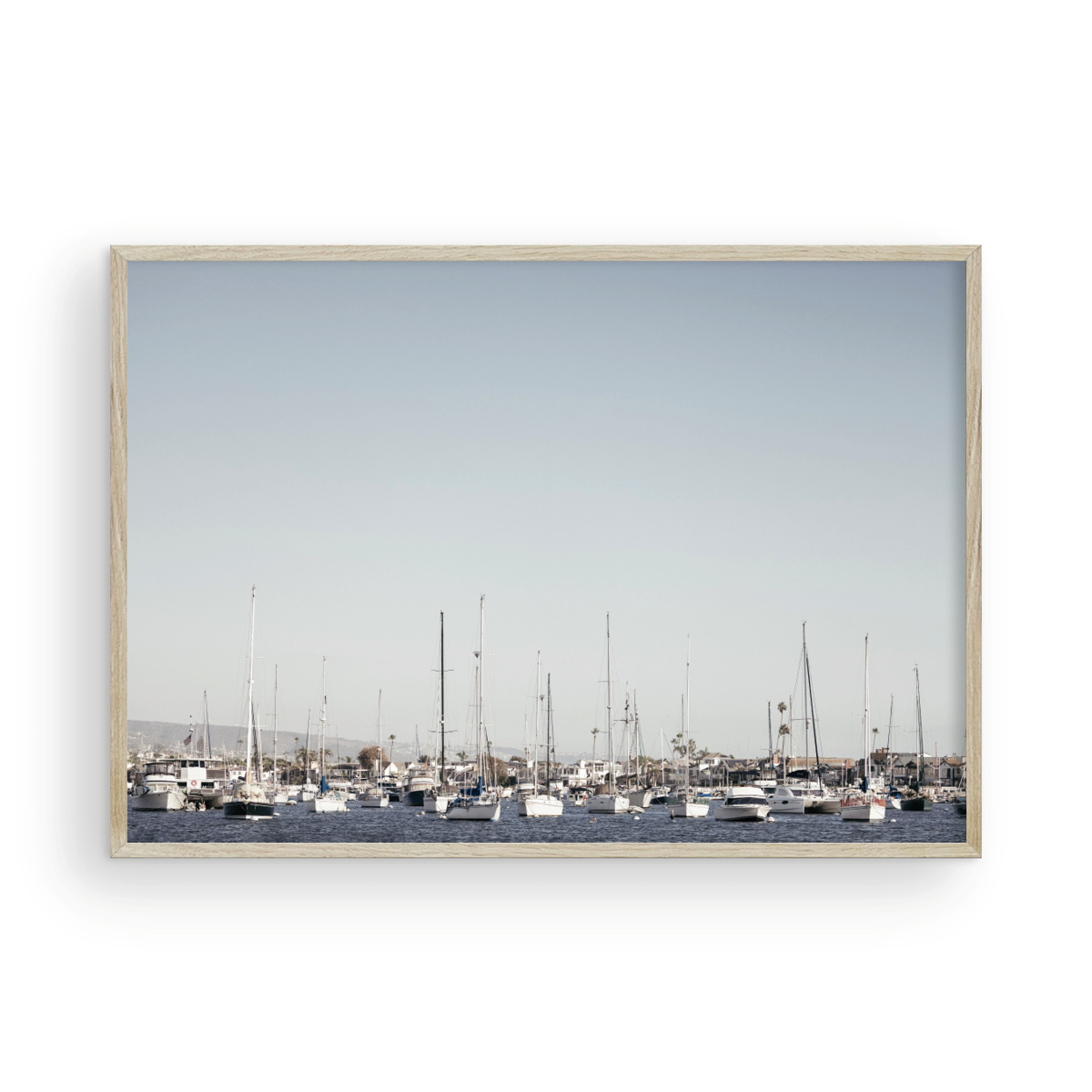 Newport Harbor, One