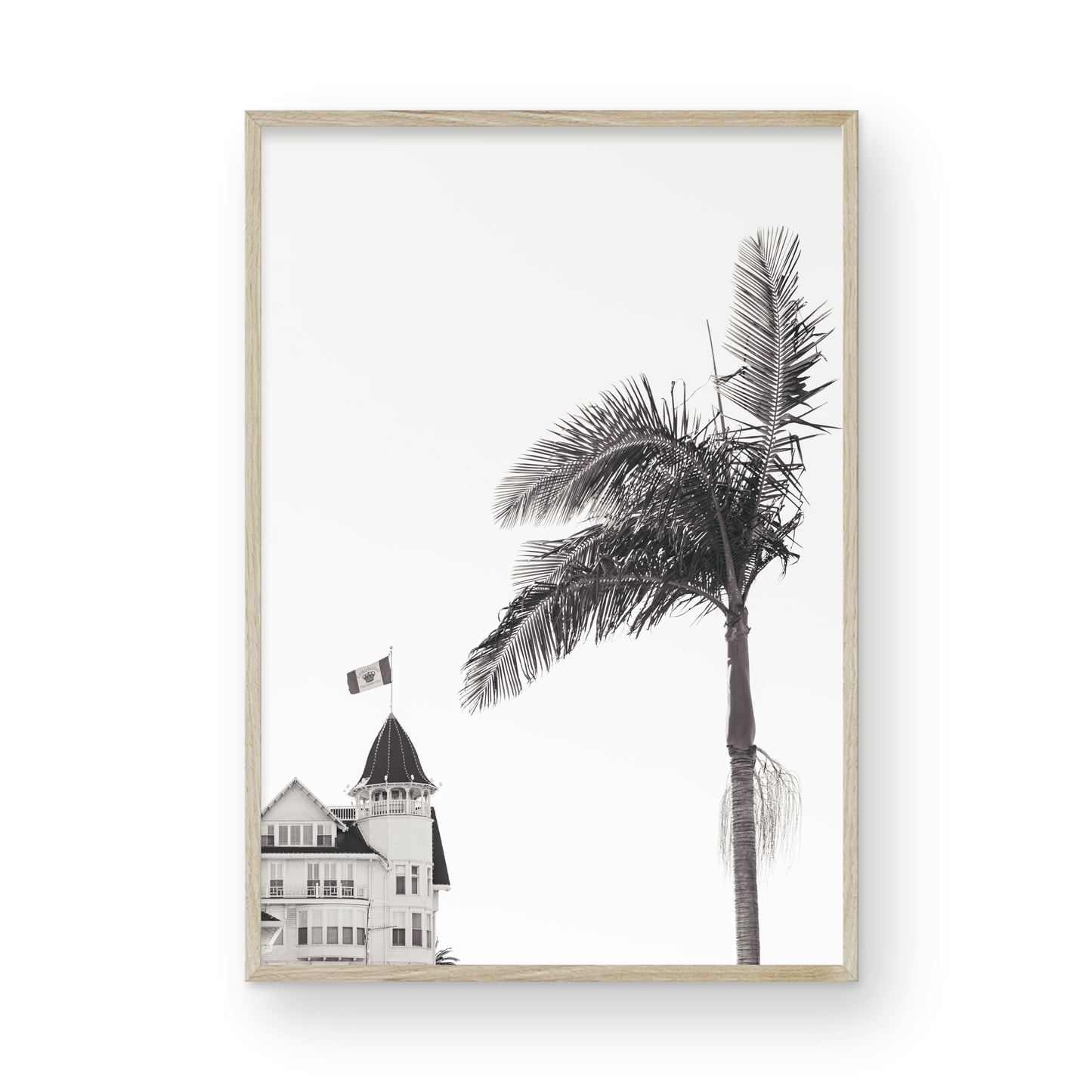 Hotel Del Coronado: Monochrome
