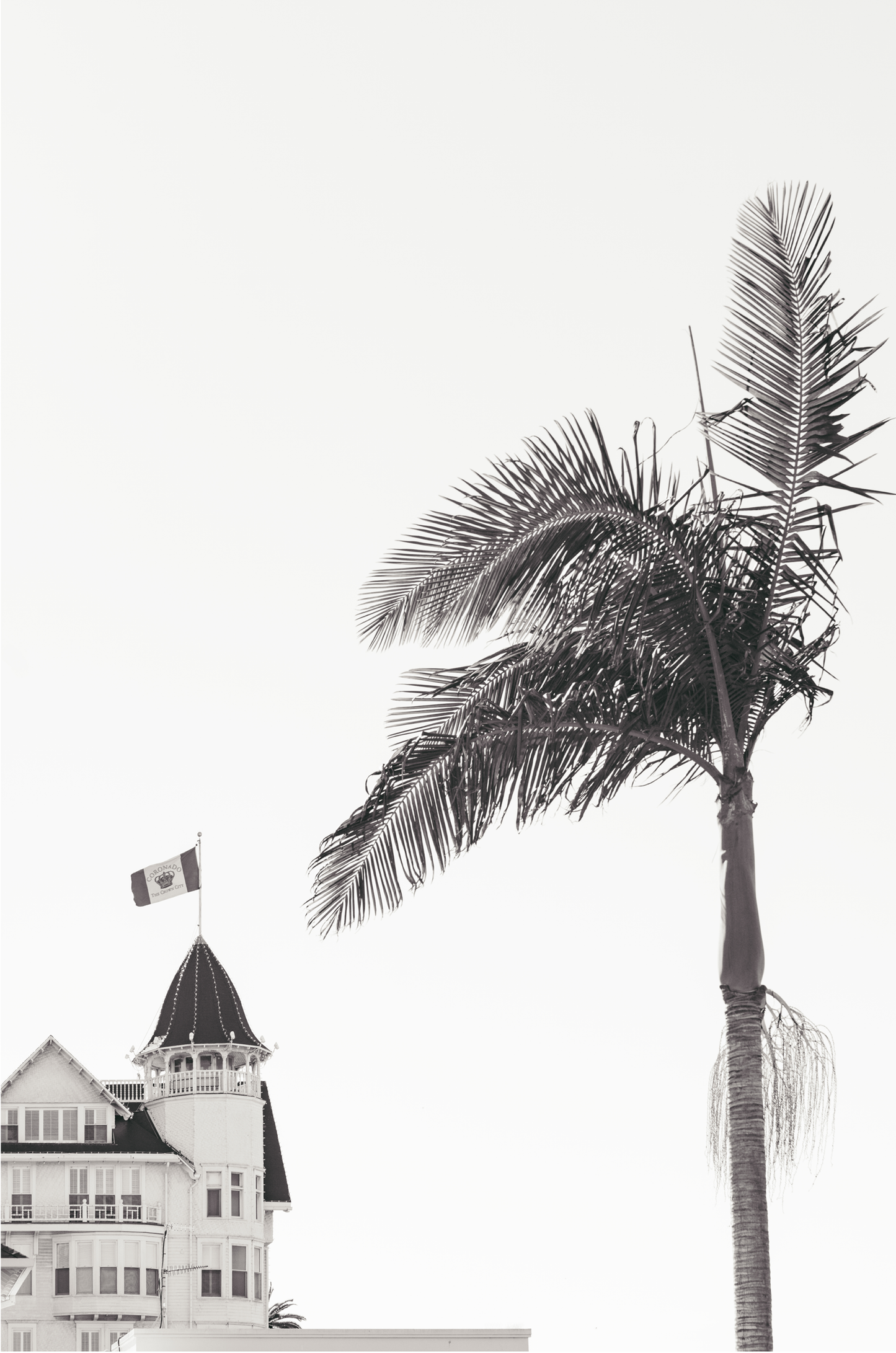 Hotel Del Coronado: Monochrome