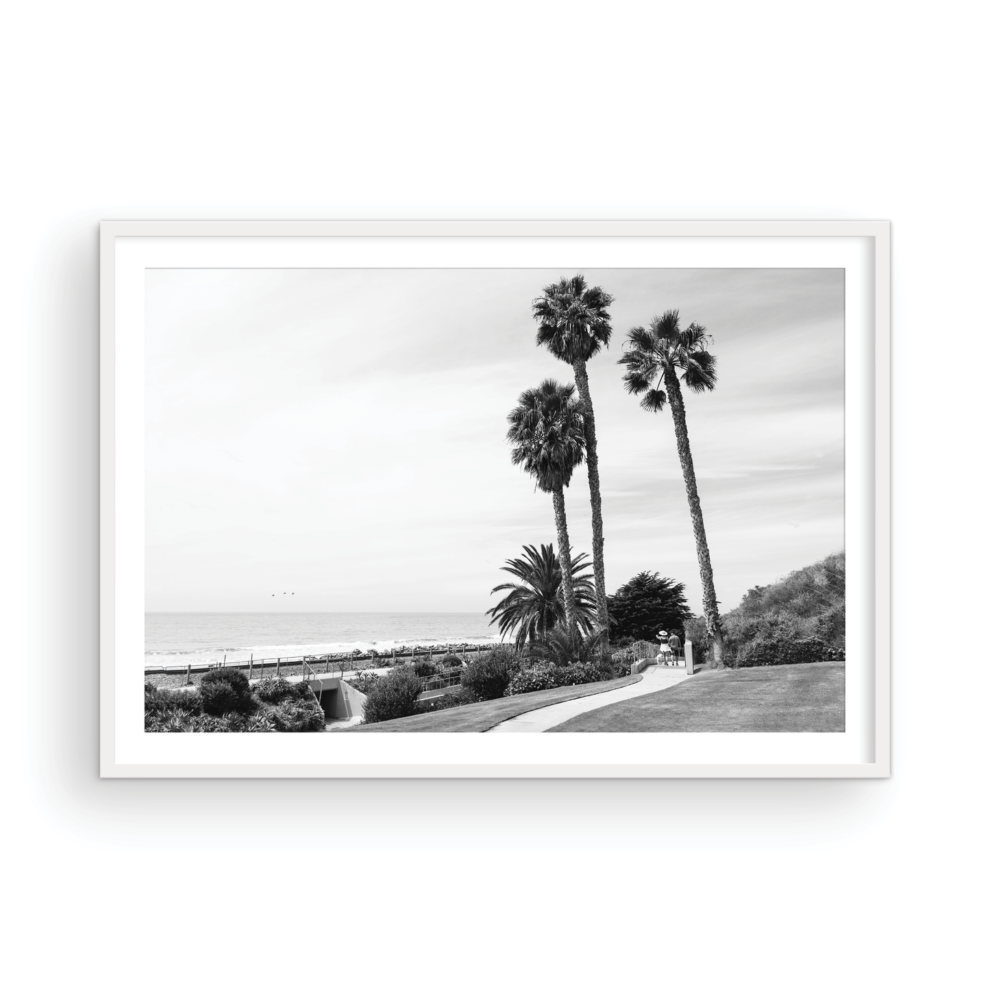 Linda Lane, One: Monochrome