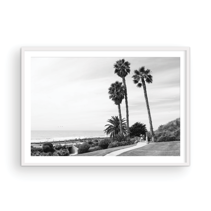 Linda Lane, One: Monochrome