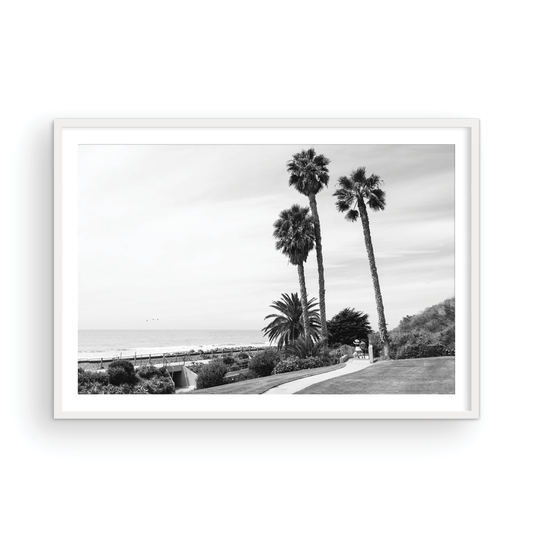 Linda Lane, One: Monochrome