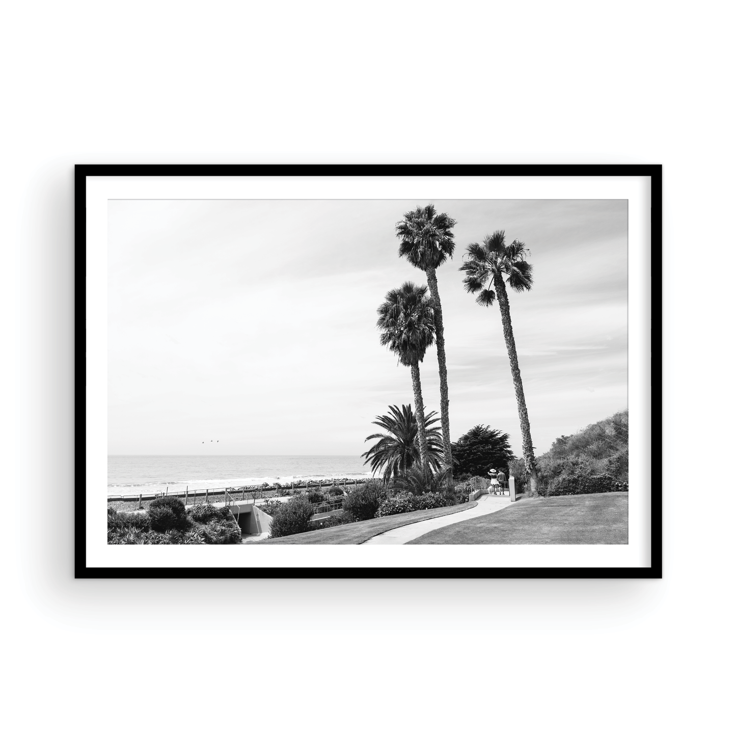 Linda Lane, One: Monochrome