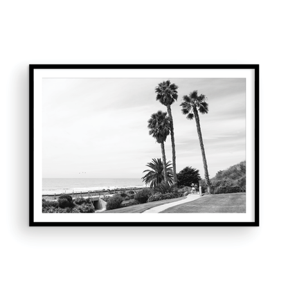 Linda Lane, One: Monochrome