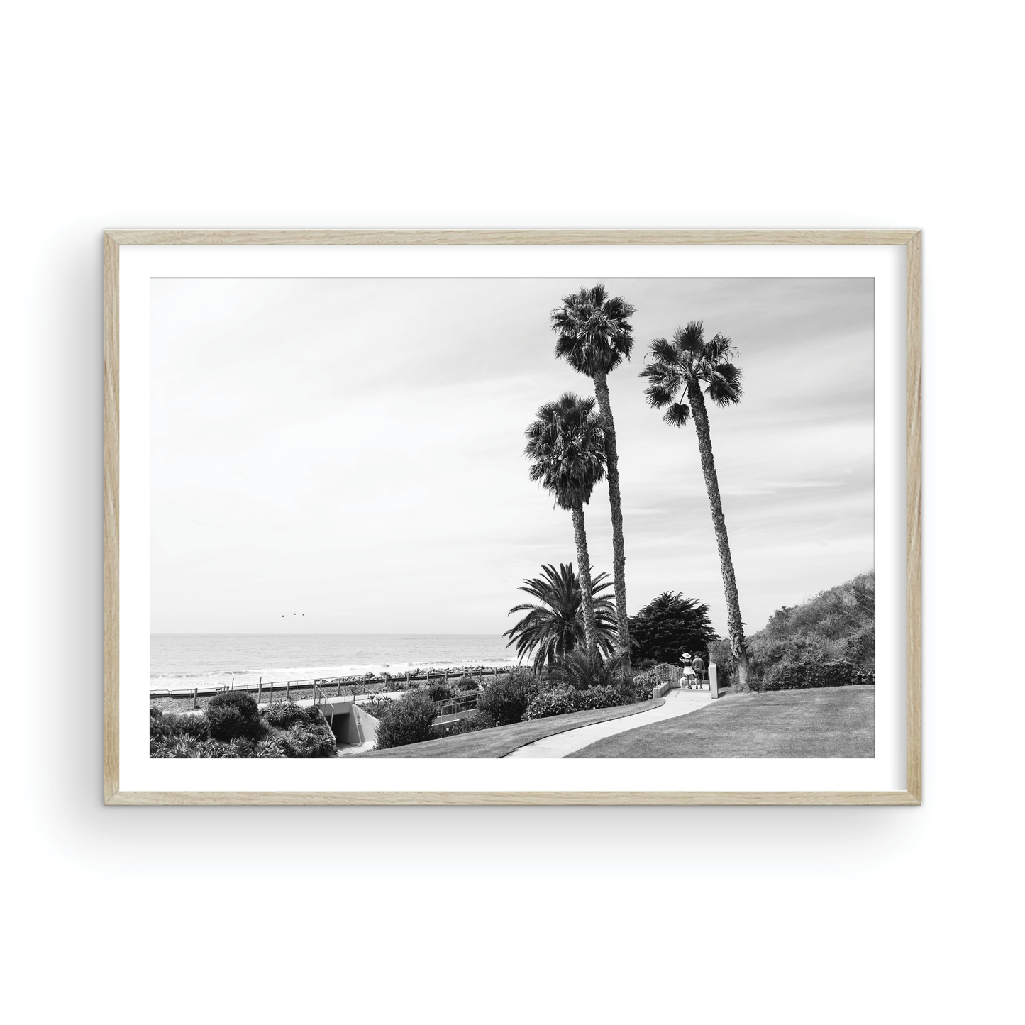 Linda Lane, One: Monochrome