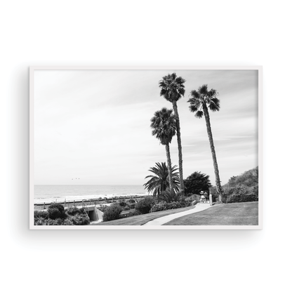 Linda Lane, One: Monochrome