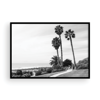 Linda Lane, One: Monochrome