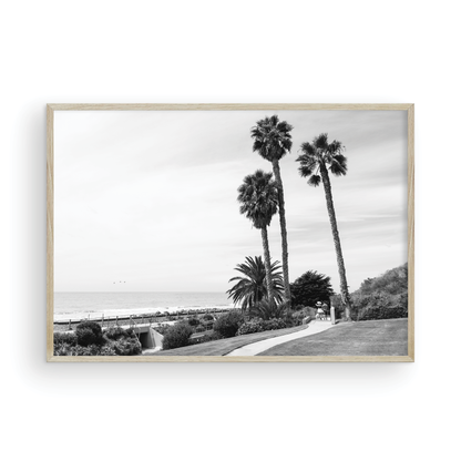 Linda Lane, One: Monochrome