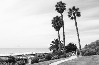 Linda Lane, One: Monochrome
