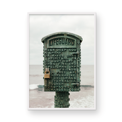 The Lifeguard
