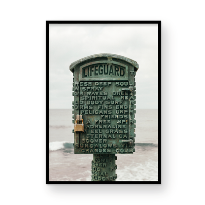 The Lifeguard
