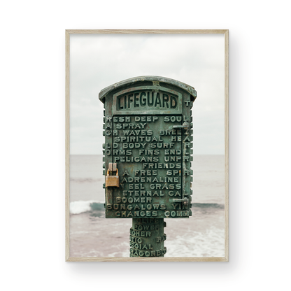 The Lifeguard