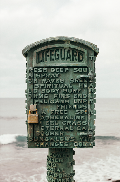 The Lifeguard