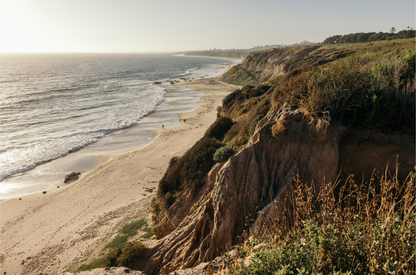 Crystal Cove, One