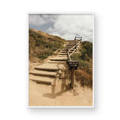 Torrey Pines, Four