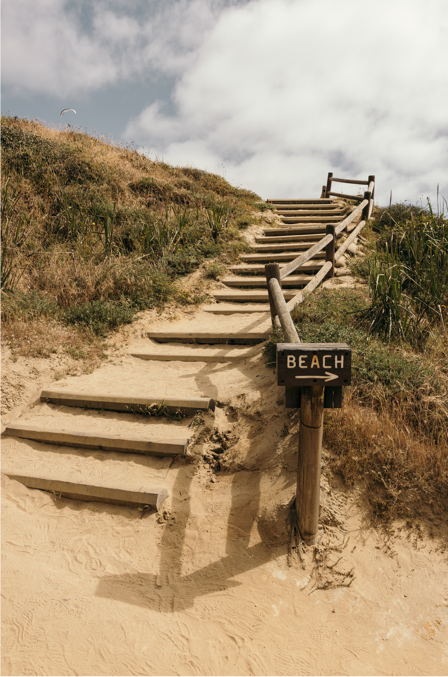 Torrey Pines, Four