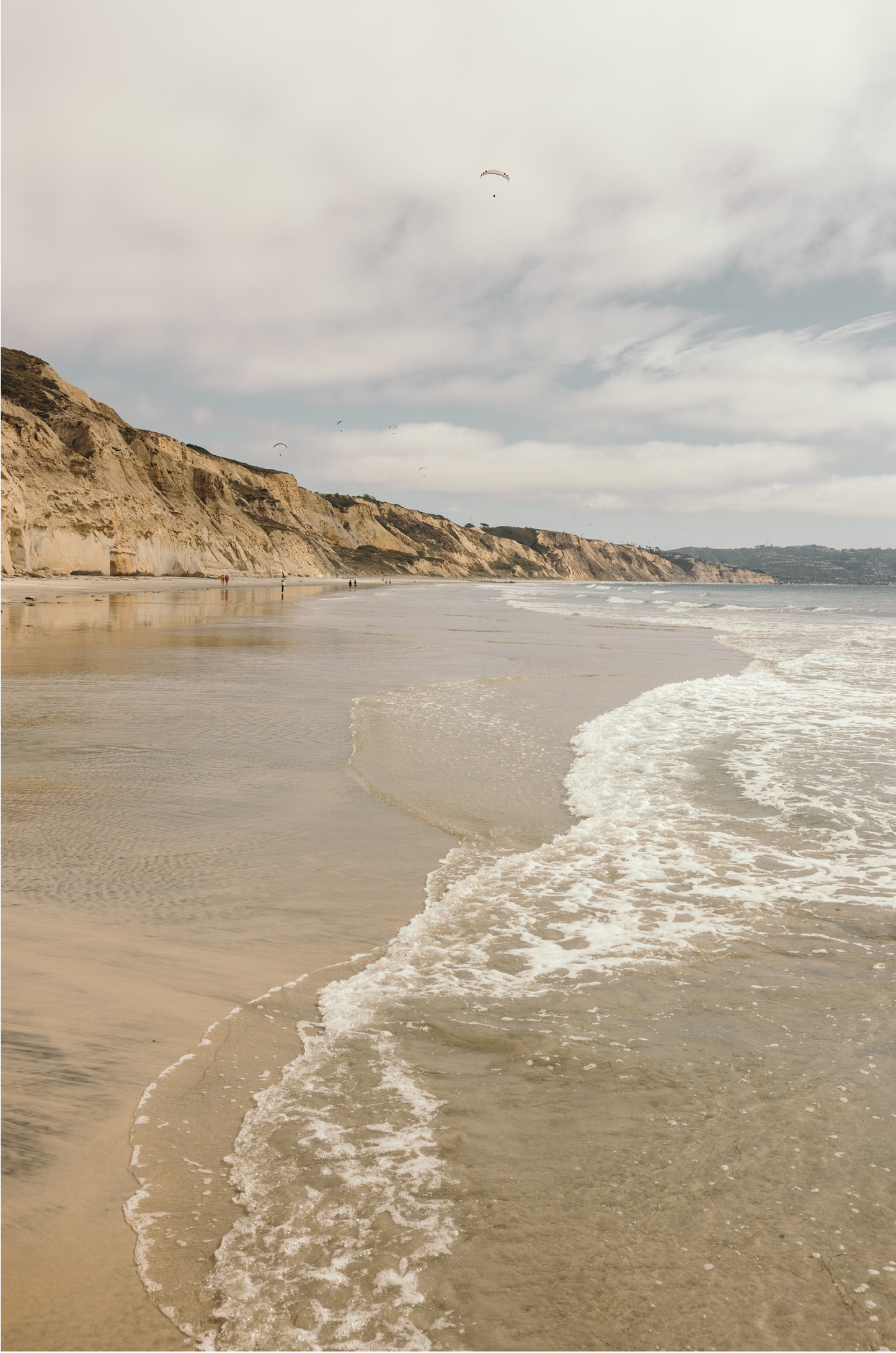 Torrey Pines, One