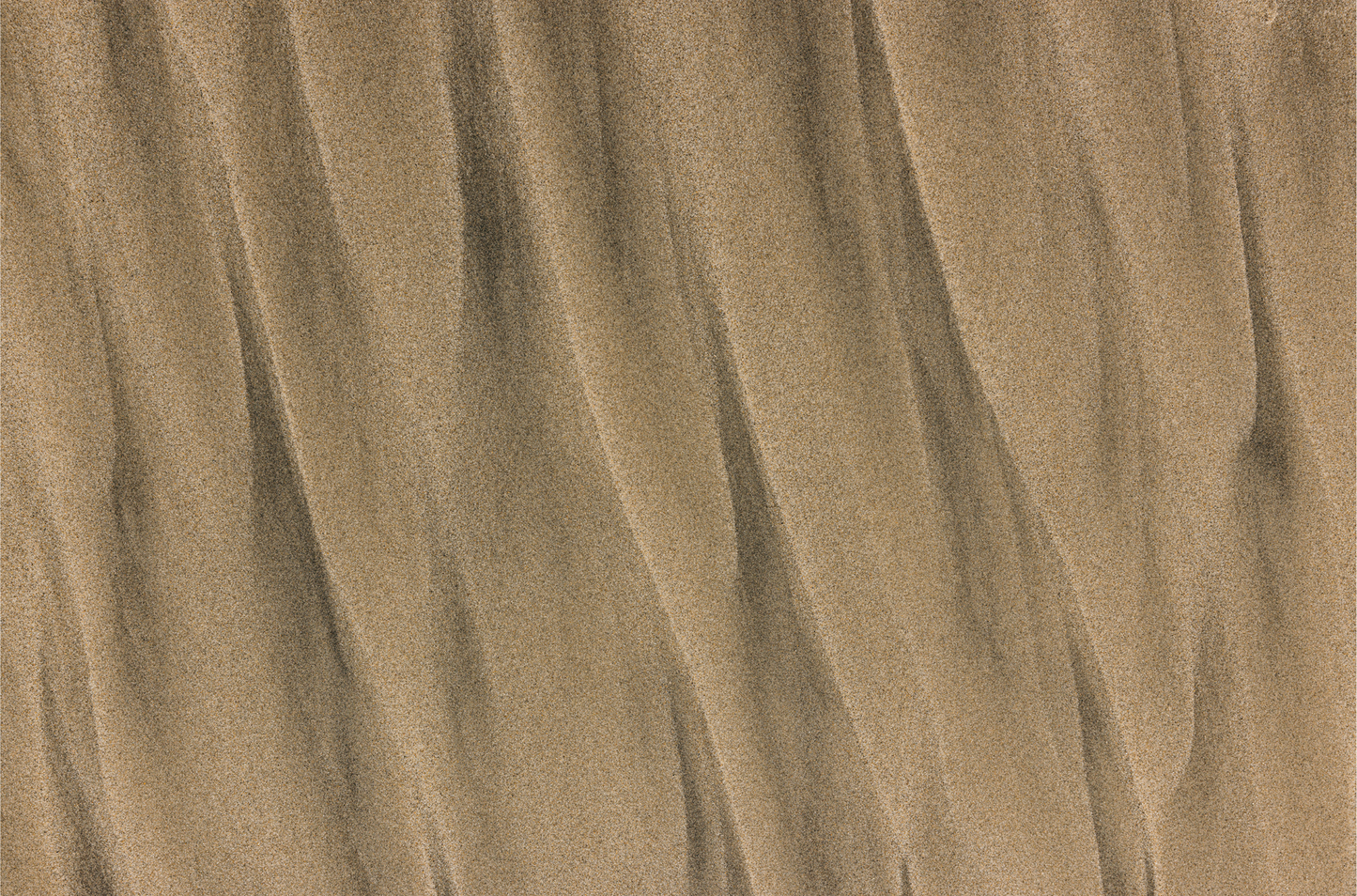 Torrey Pines, Seven