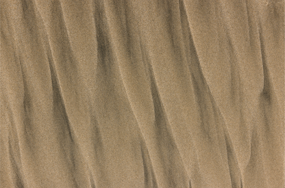 Torrey Pines, Seven