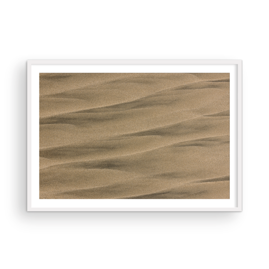 Torrey Pines, Six