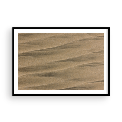 Torrey Pines, Six