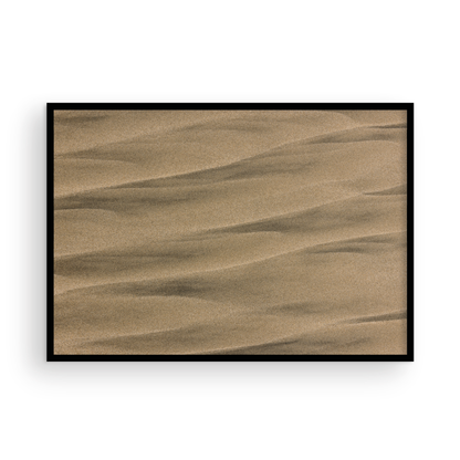 Torrey Pines, Six