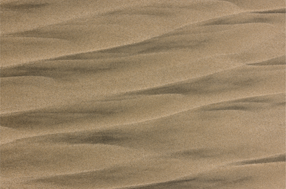 Torrey Pines, Six