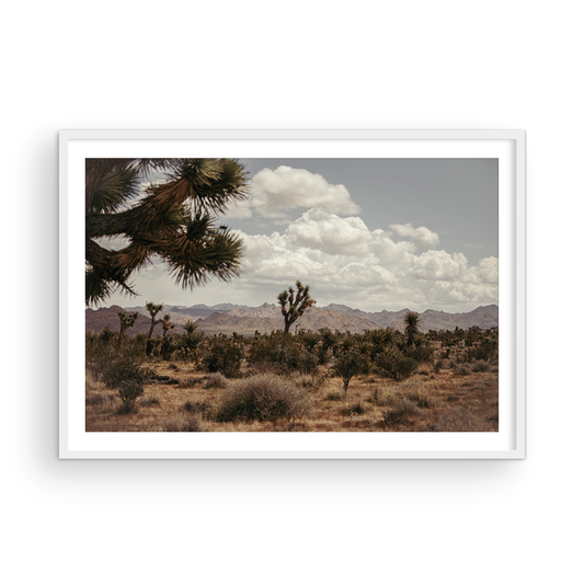 29 Palms Highway, One