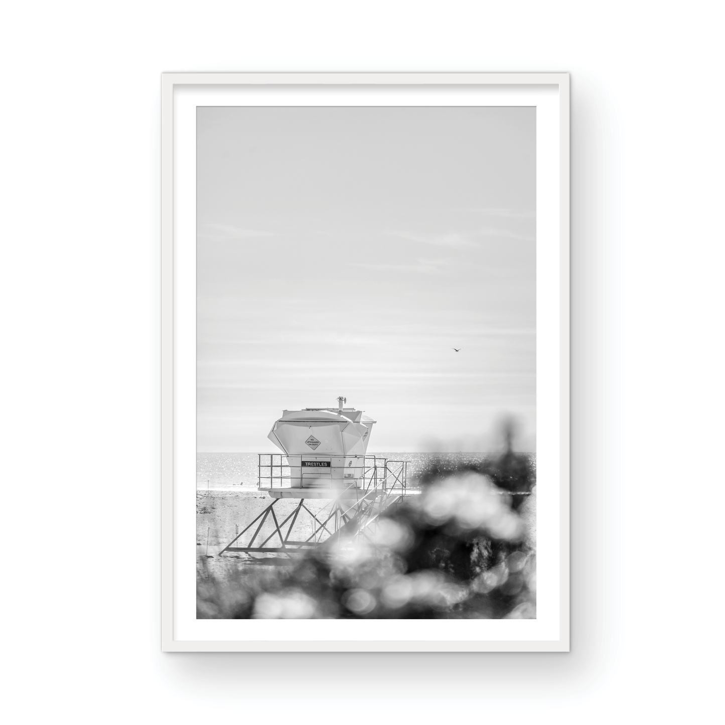 Trestles, Three: Monochrome