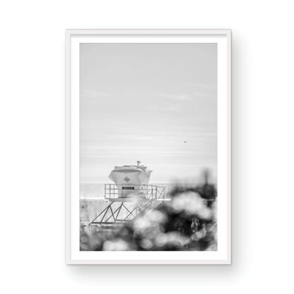 Trestles, Three: Monochrome