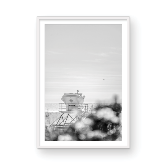 Trestles, Three: Monochrome