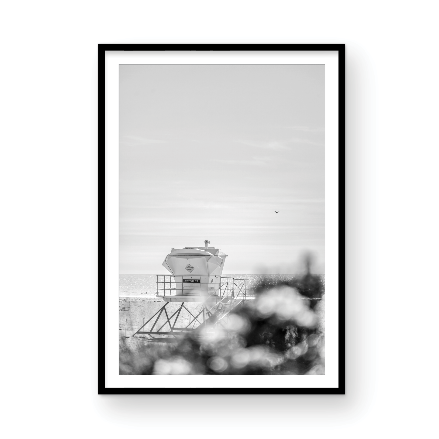 Trestles, Three: Monochrome