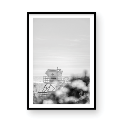 Trestles, Three: Monochrome