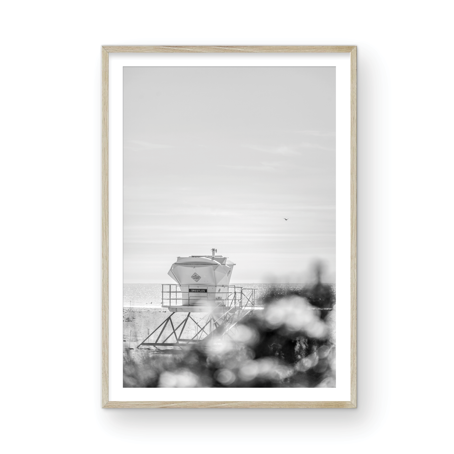 Trestles, Three: Monochrome