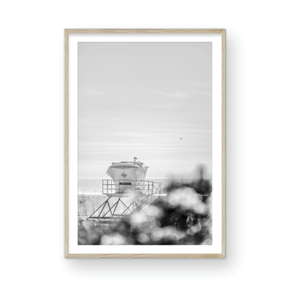 Trestles, Three: Monochrome