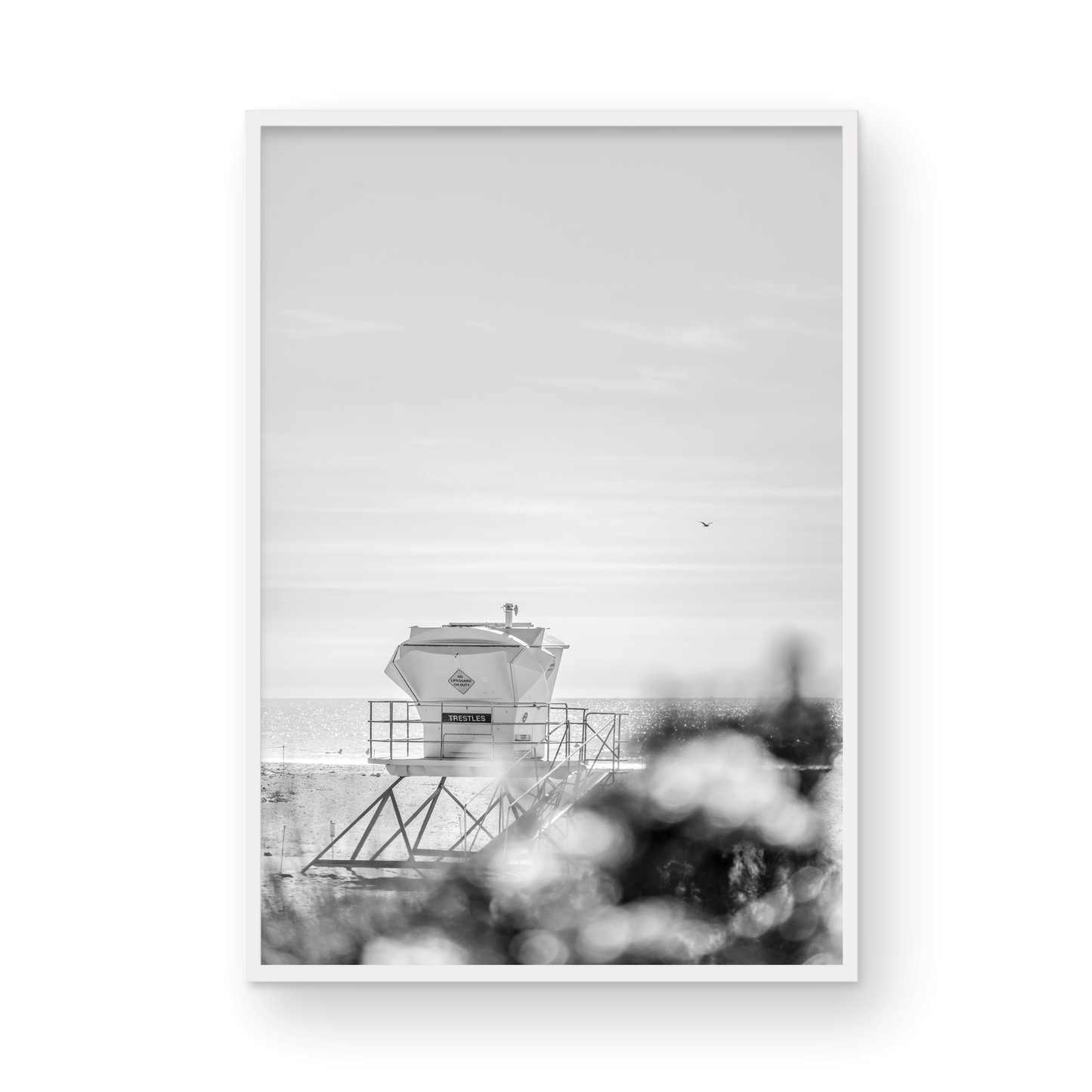 Trestles, Three: Monochrome