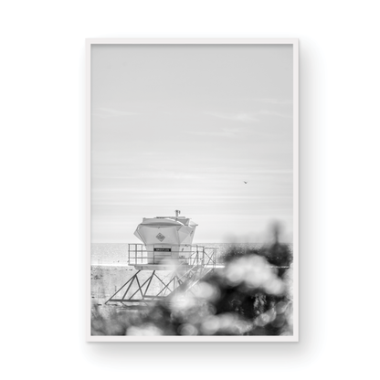 Trestles, Three: Monochrome