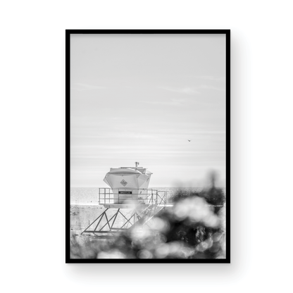 Trestles, Three: Monochrome
