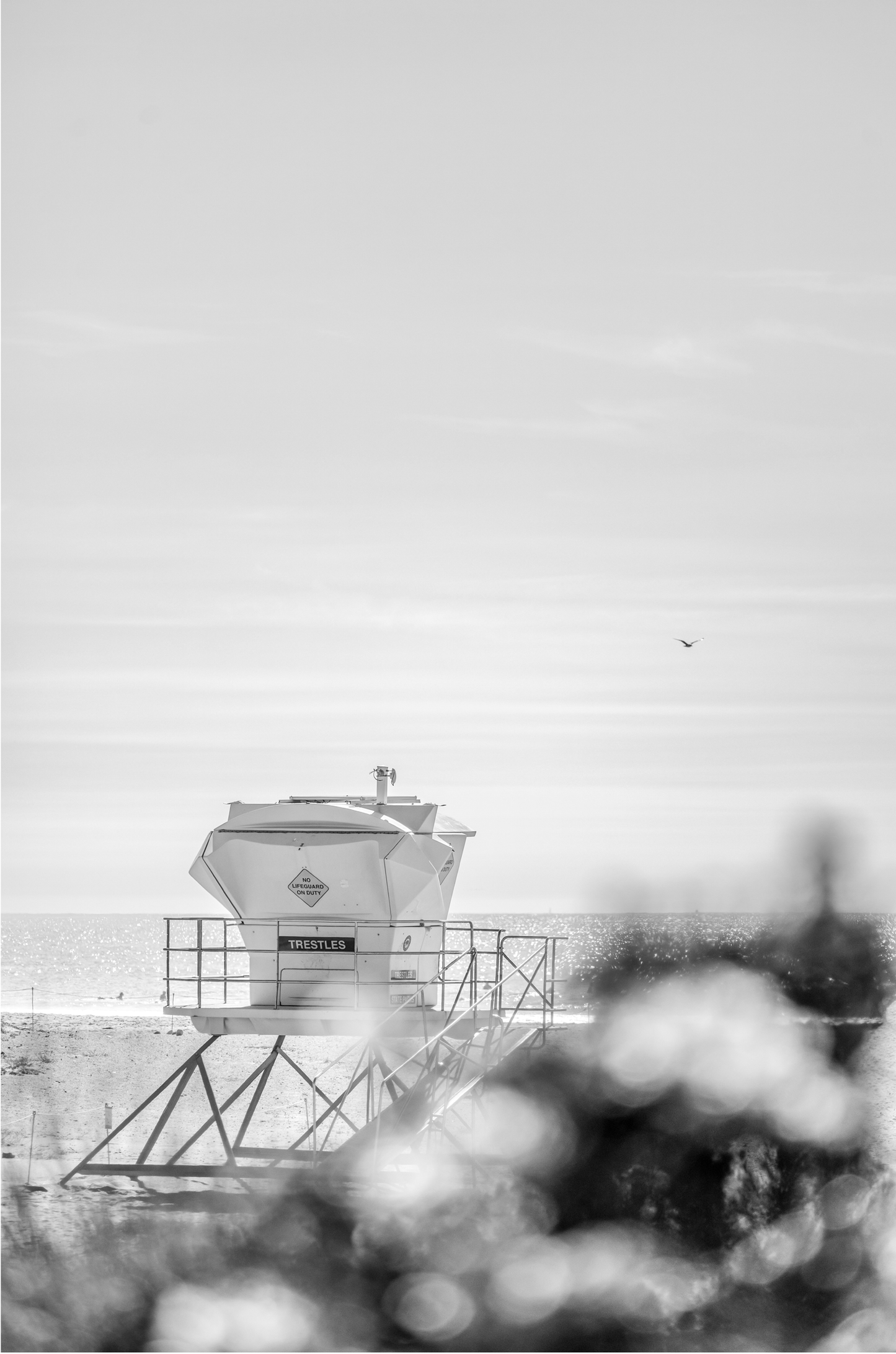 Trestles, Three: Monochrome