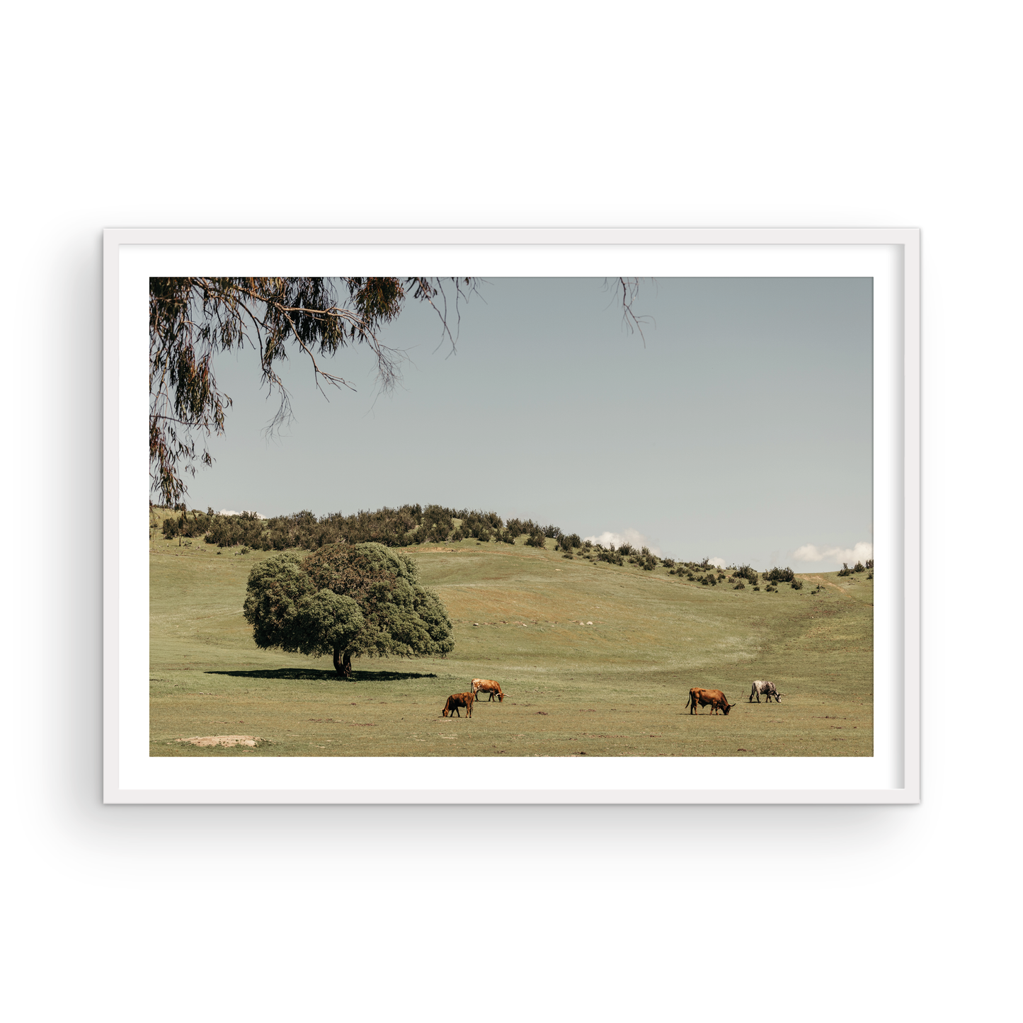 Paso Robles, Seven