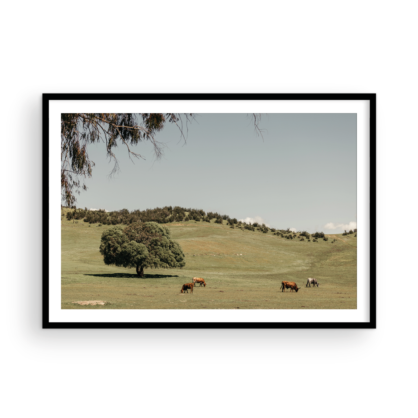 Paso Robles, Seven