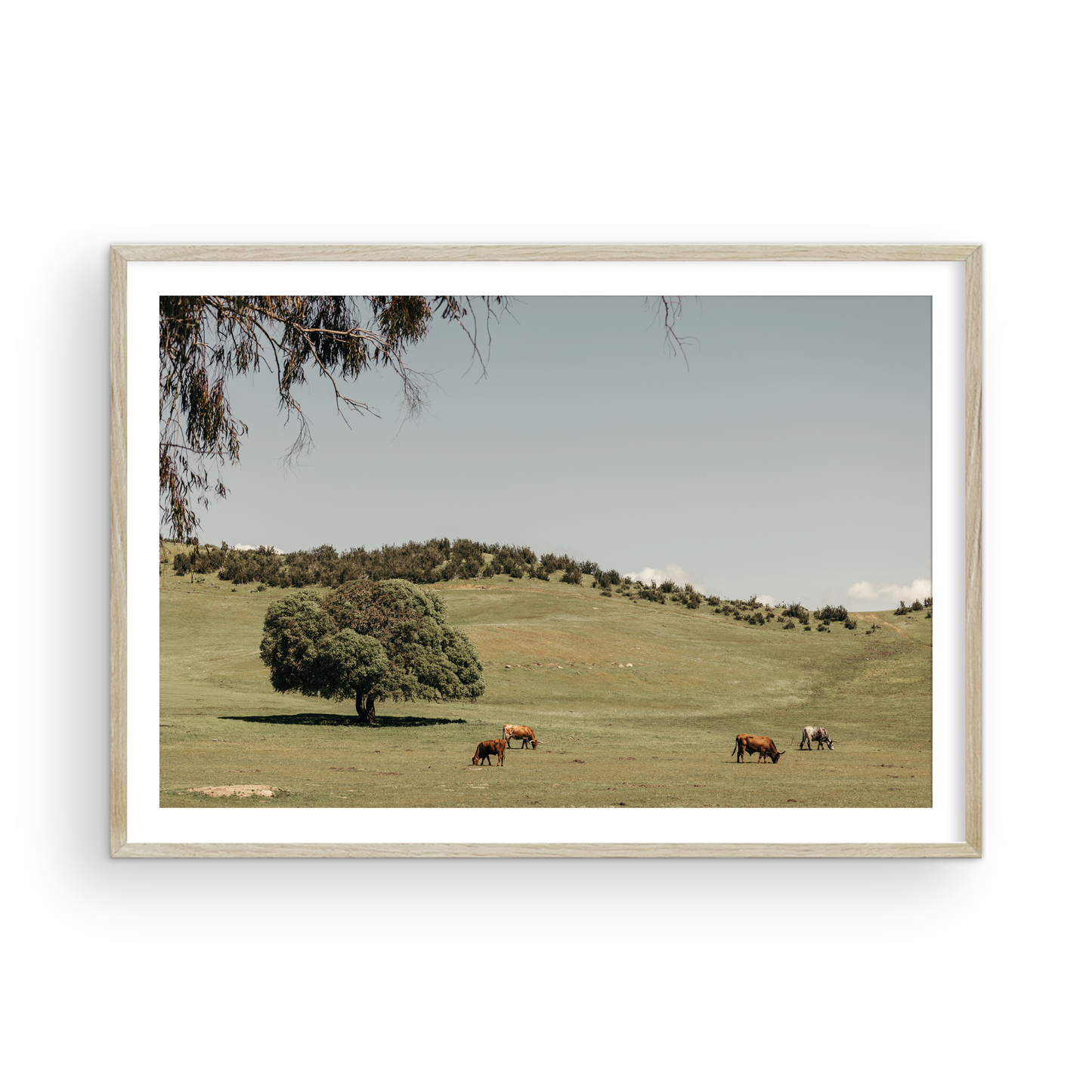 Paso Robles, Seven